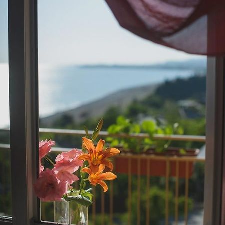 Guest House Arlen Tsandrypsh Bagian luar foto